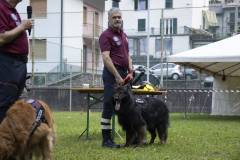 attività